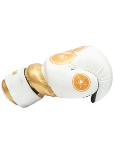   TOP TEN GLOSSY BLOCK GOLD WAKO APPROVED 2025 POINT FIGHTER kesztyű