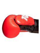 TOP TEN PRISM boxkesztyű