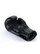 DBX BUSHIDO ARB TRAINING boxkesztyű