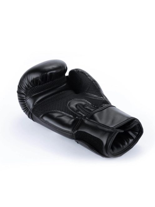 DBX BUSHIDO ARB TRAINING boxkesztyű