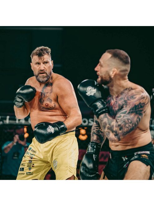 DBX BUSHIDO ARB TRAINING boxkesztyű