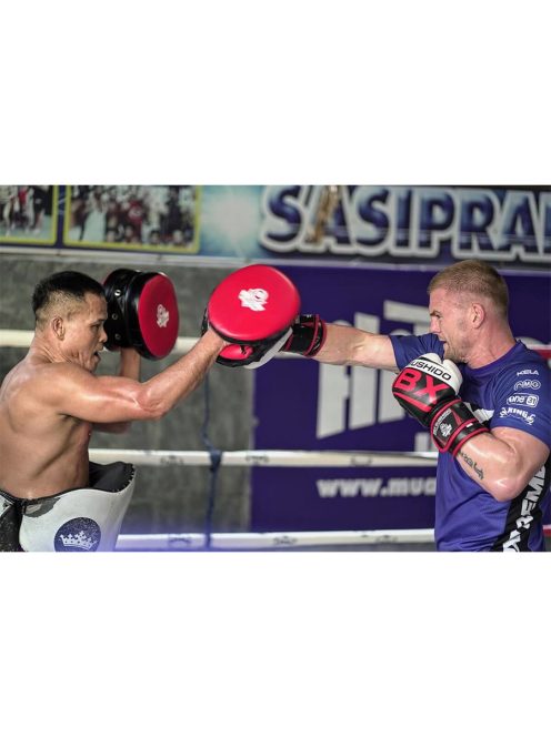 DBX BUSHIDO kétoldalú pontkesztyű