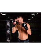 DBX BUSHIDO GRAPPLING MMA, KRAV MAGA kesztyű