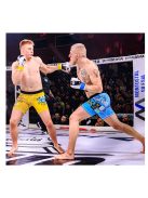 DBX BUSHIDO TIGER TRAINING MMA, KRAV MAGA kesztyű