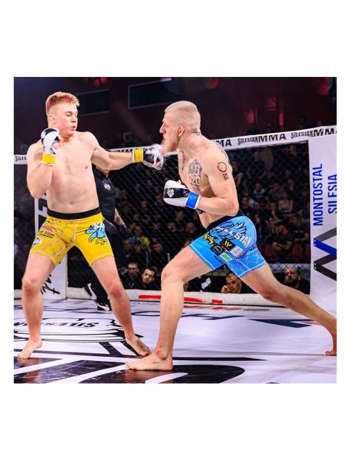 DBX BUSHIDO TIGER TRAINING MMA, KRAV MAGA kesztyű